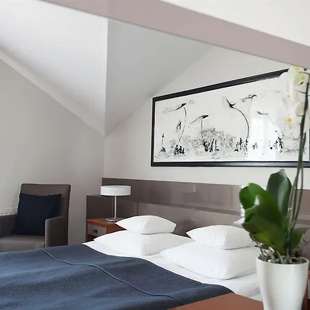 Benefis Boutique Hotell 3*